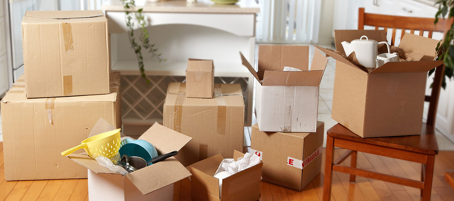 Nellore packers and movers